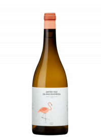 Antão Vaz da Peceguina ´24 branco